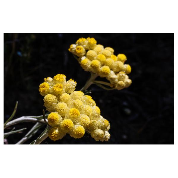 PHOTO84, CLUB, 84 , LUBERON